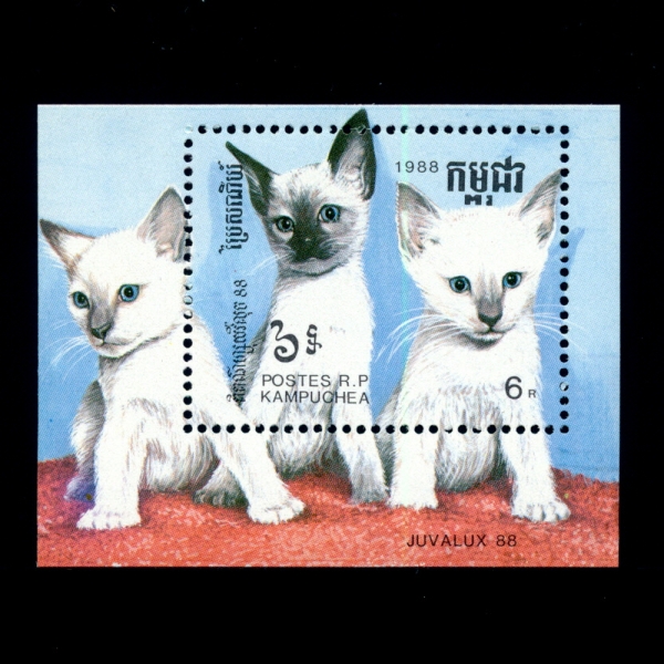 CAMBODIA(캄보디아)-SOUVENIR SHEET-#859-6r-CAT(고양이)-1988.3.15일