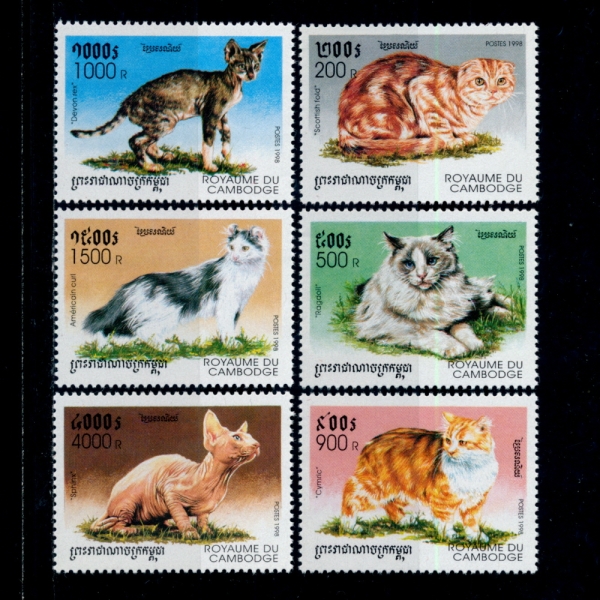CAMBODIA(캄보디아)-#1707~12(6종)-DOMESTIC CATS(국내 고양이)-1998년