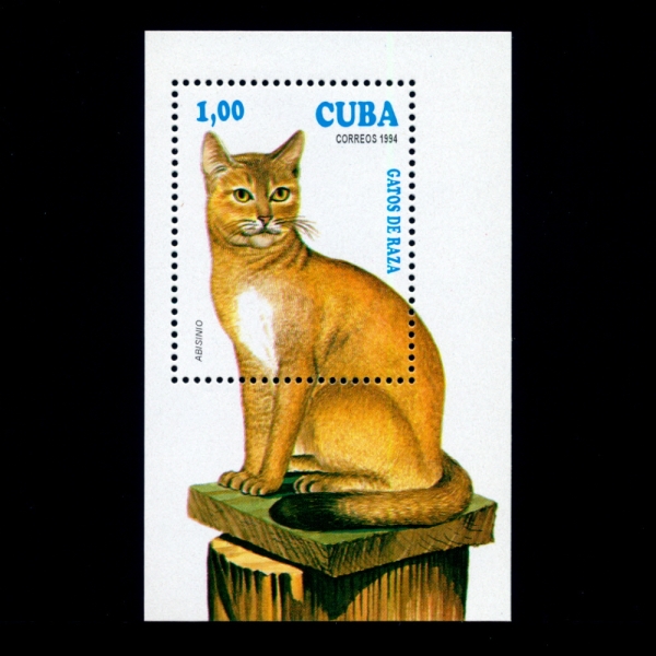 CUBA(쿠바)-SOUVENIR SHEET#3558-1p-ABYSSINIAN(아비시니아 고양이)-1994.2.15일