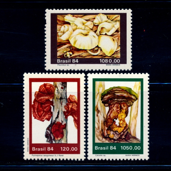 BRAZIL()-#1955~7(3)-LOCAL MUSHROOMS(߻)-1984.10.22