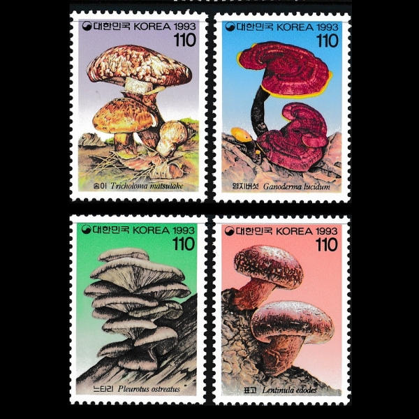 ø 1-4-ǥ-1993.7.26