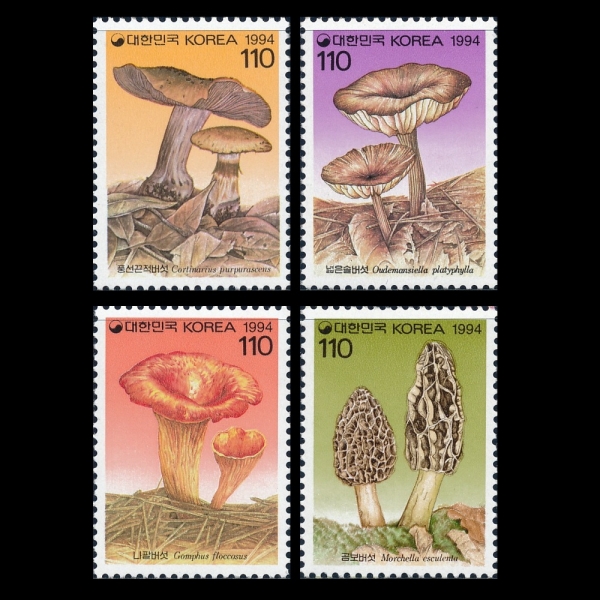 ø 2-4-ǥ-1994.5.30