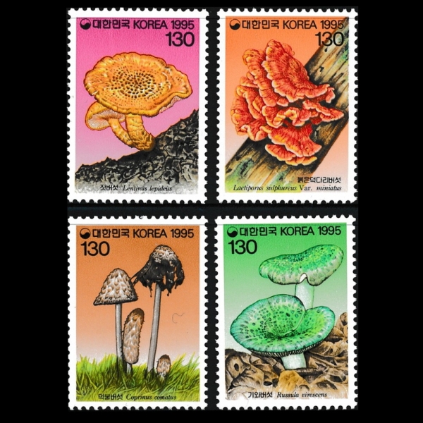 ø 3-4-ǥ-1995.3.31