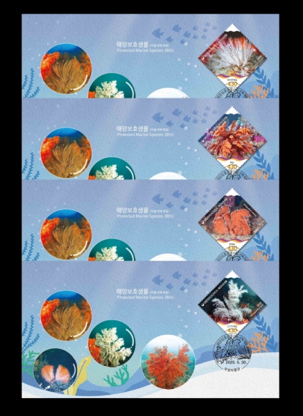 ؾ纸ȣ( ° )-4-ǥڹ  Ϻ(FDC)-ǥڹ -2025.5.30