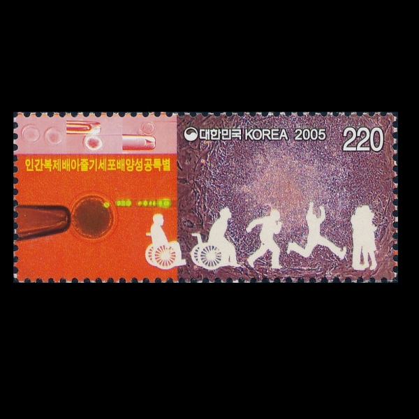 ΰ  ٱ⼼   Ư-ǥ-2005.2.12