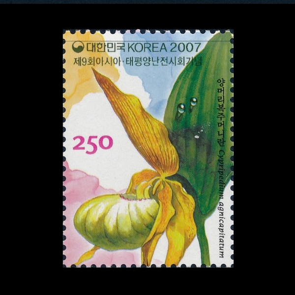 9ȸ ƽþ․  ȸ -ǥ-2007.3.16