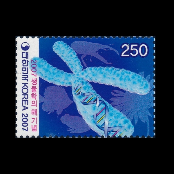 2007   -ǥ-2007.3.19